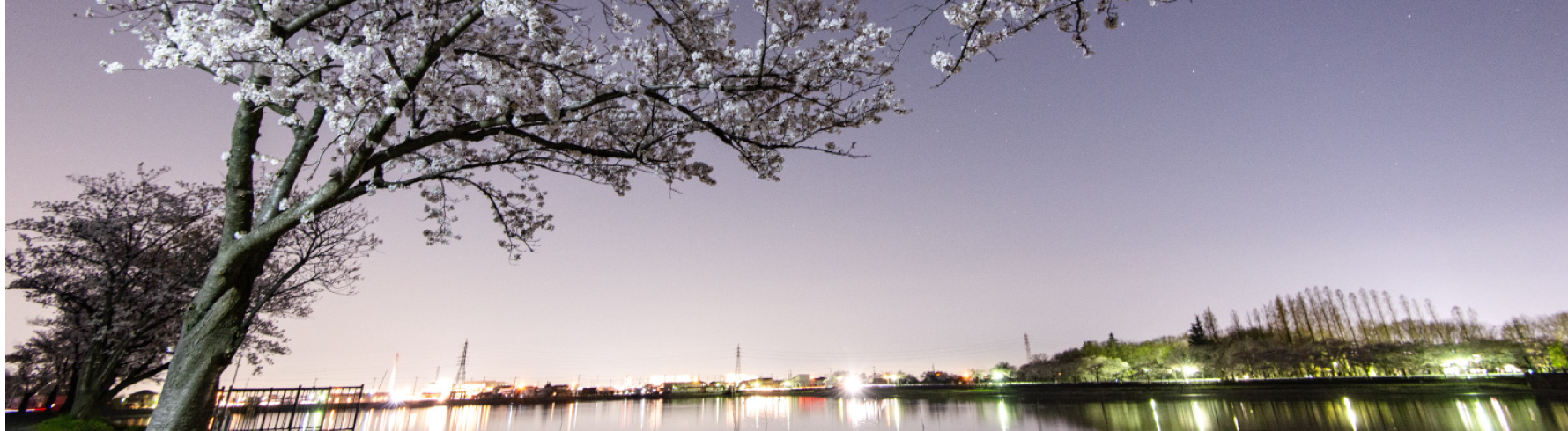 グランシア カーサヴィレ 周辺環境