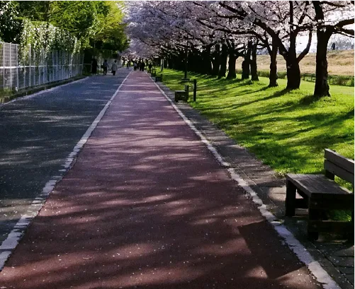 ランニング専用クッション