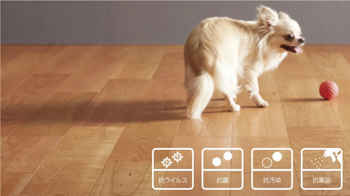 抗菌フローリング