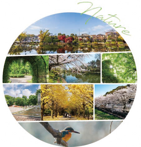 しぜんの和イメージ写真