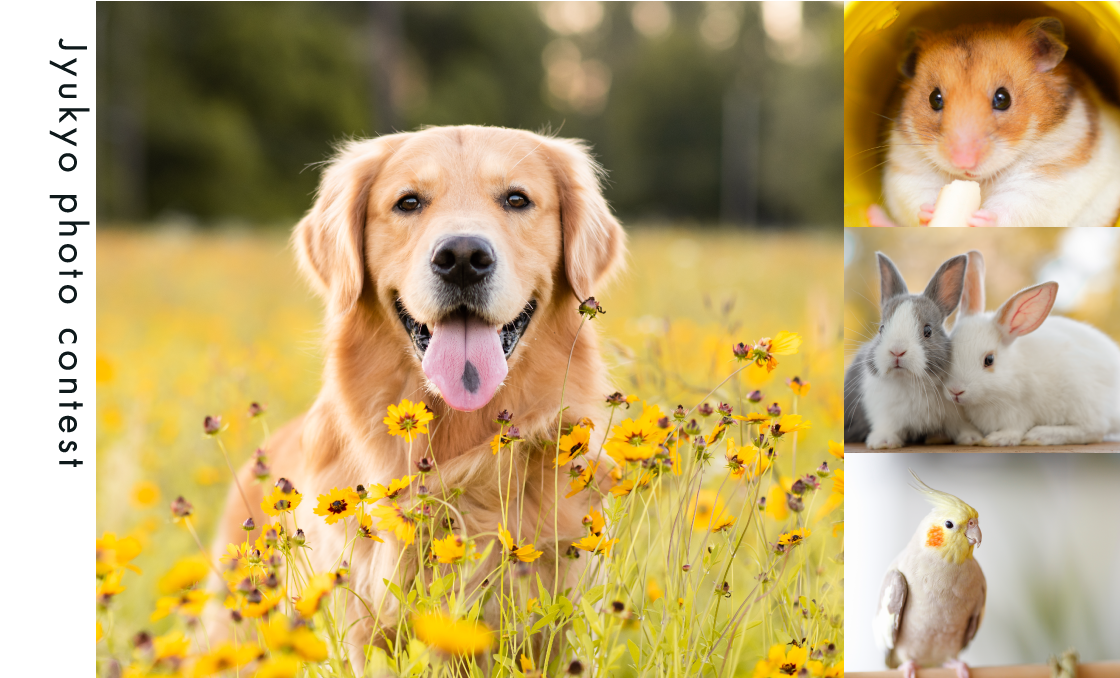 住協フォトコンテスト2025！賞品総額100万円分！