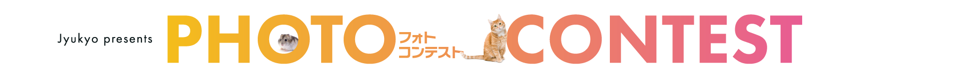 住協フォトコンテスト2025！PHOTO CONTEST