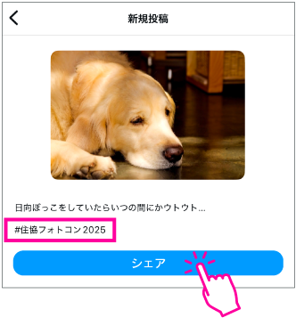 住協フォトコンテスト2025！シェアボタン