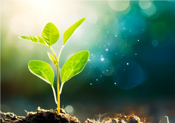 一次エネルギー消費量等級6