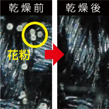 アレル物質を除去