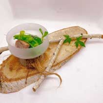 「あきる野産・東京シャモのドディーヌと入間産・栗原養鶏 卵のポッシェ 地元 ノラボウのソースジャスミン風味」