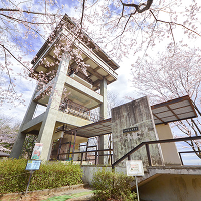 桜山展望台