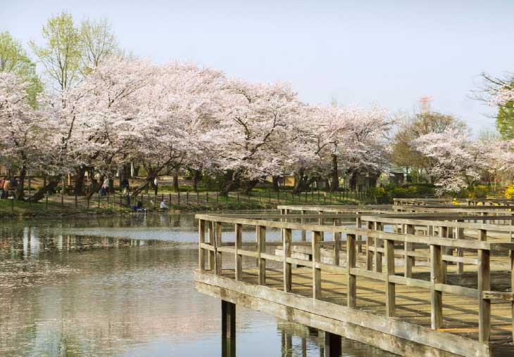 鶴ヶ島市運動公園