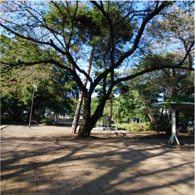 清瀬中央公園 写真