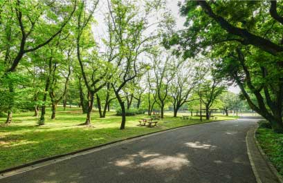 緑あふれる公園