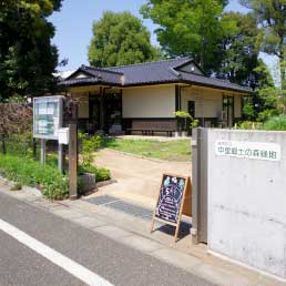 中里郷土の森緑地