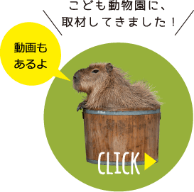 智光山公園こども動物園