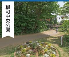 緑町中央公園