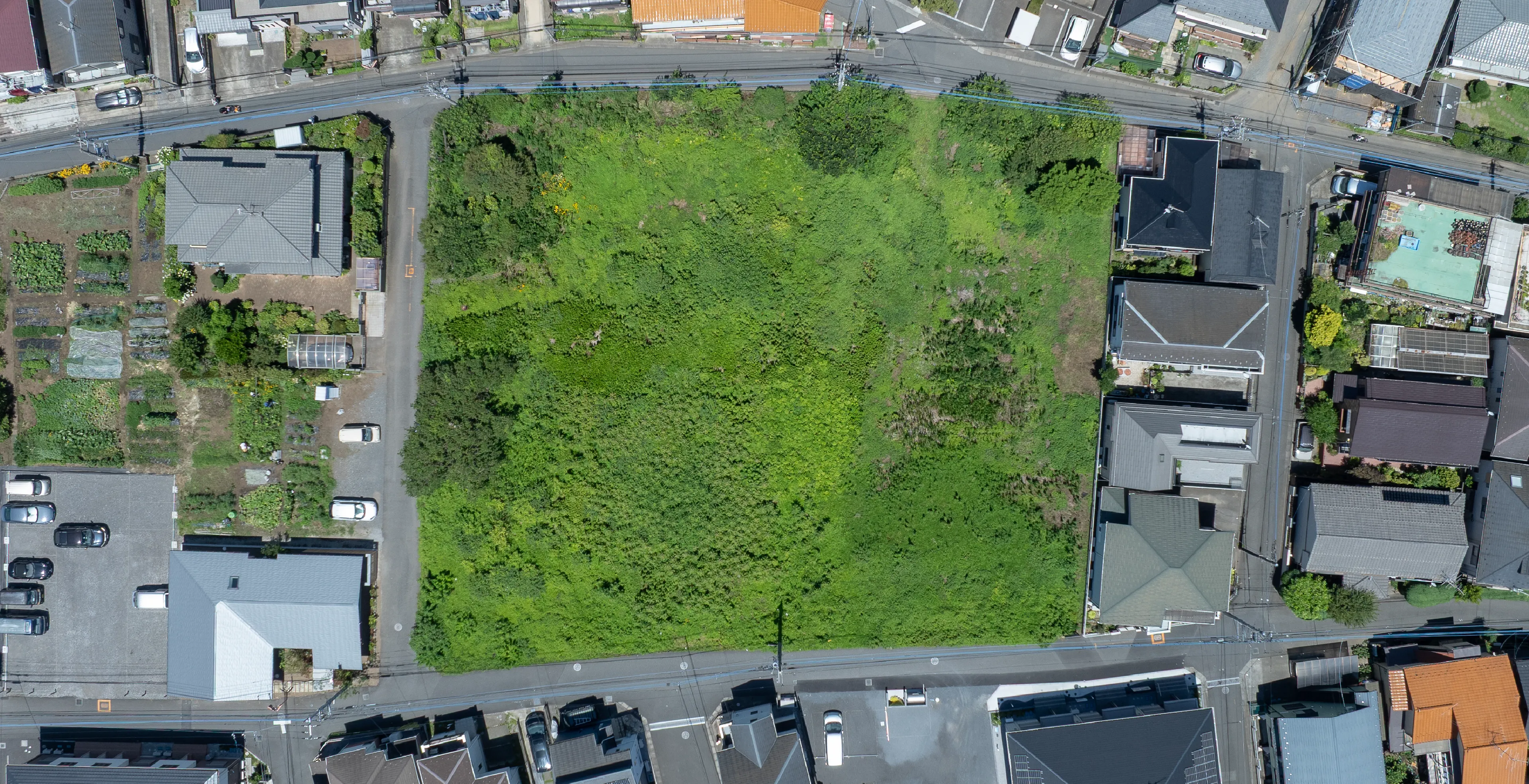 the tokorozawa hills