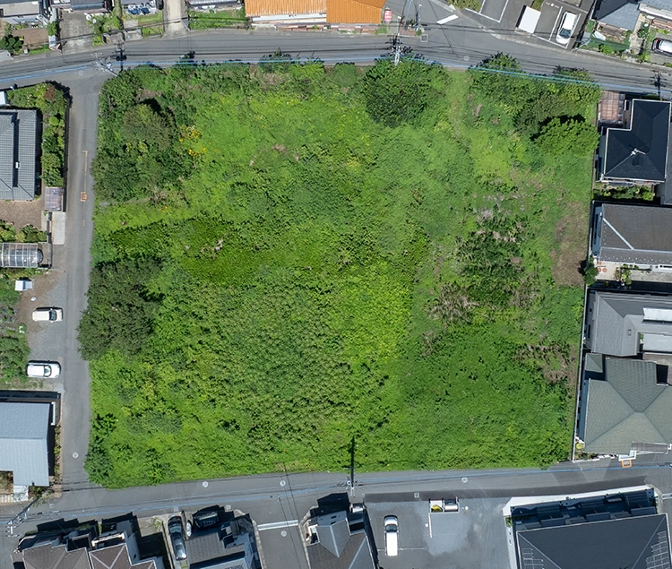 the tokorozawa hills