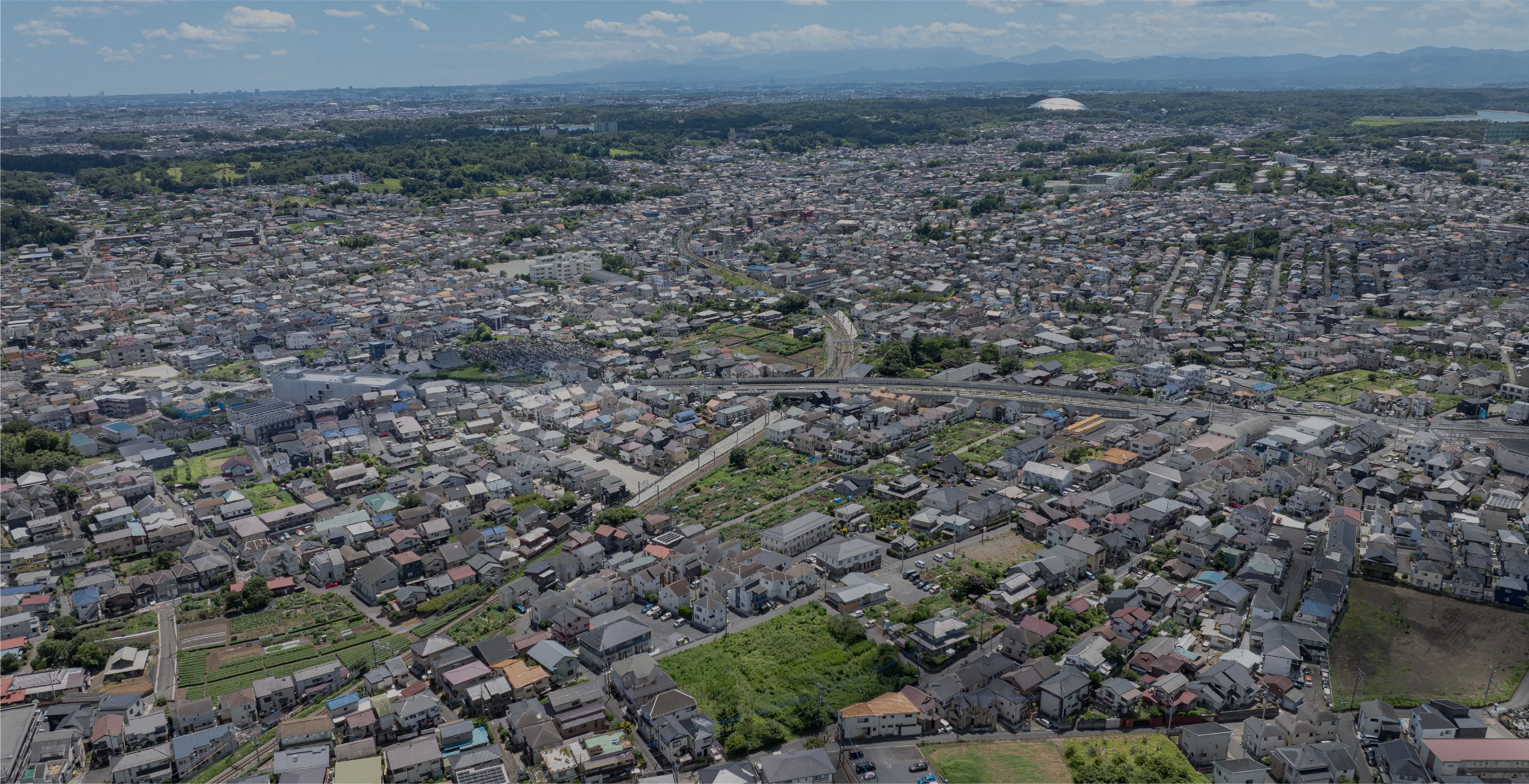 the tokorozawa hills